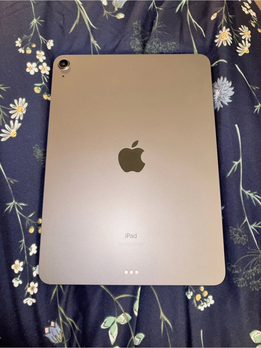 Apple iPad Air
